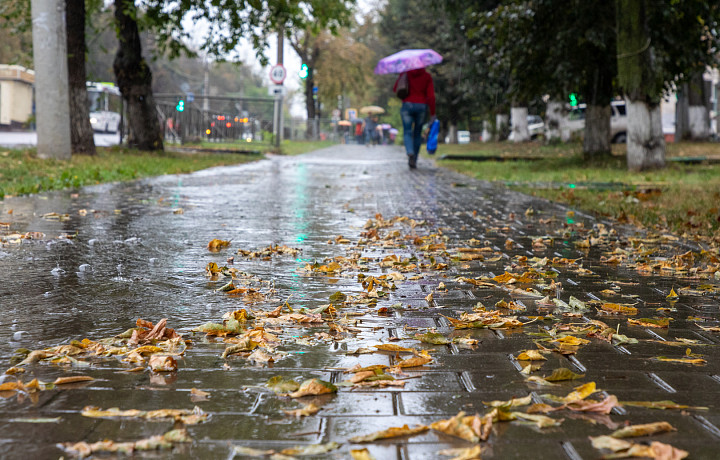 Жителей Тулы и области ждет дождливый день в субботу, 25 октября