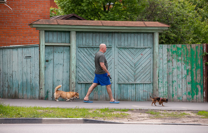 Кинологи рассказали, как в жару защитить лапы собаки от ожогов