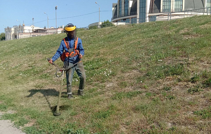 В Туле 21 июня продолжится уборка тротуаров и окос газонов