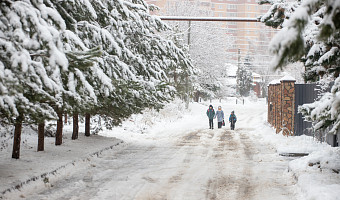 В Тульской области ожидаются сильный снег, ветер и снежные заносы