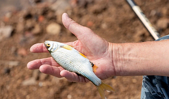 В Суворовском районе двое мужчин вылавливали рыбу незаконным способом