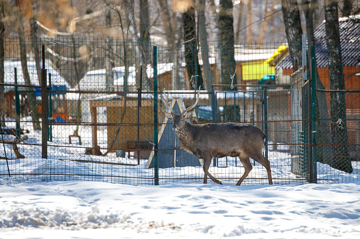 Дети на катке, бабушки – на качелях: в Тульскую область пришла календарная весна
