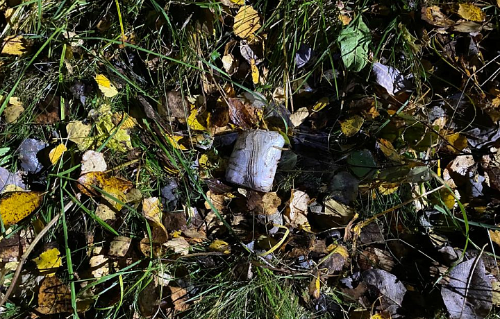 Сотрудники ФСБ в Тульской области обнаружили канал поставки наркотических средств в особо крупном размере