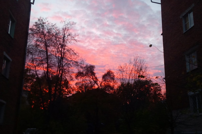 Туляки увидели розовый рассвет над городом