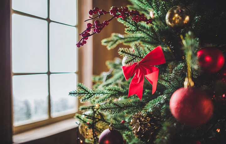 Встретить Новый год дома планируют 73% туляков