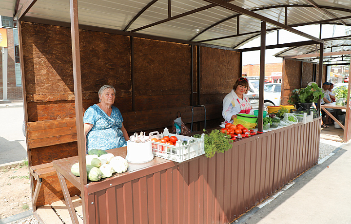 В Туле организовали ярмарки для продажи продукции с собственных огородов