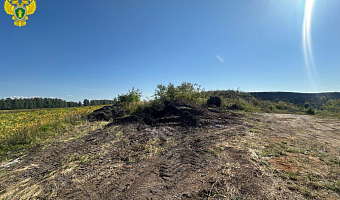 В Воловском районе ликвидировали несанкционированную свалку у песчаного карьера