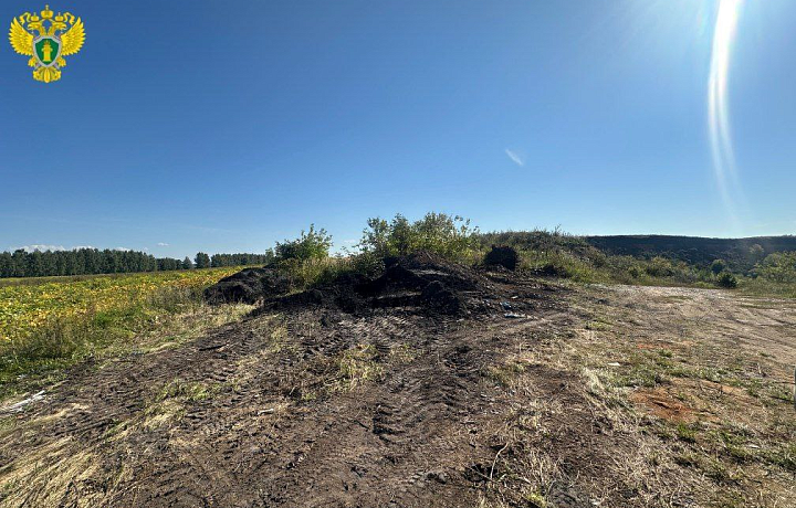 В Воловском районе ликвидировали несанкционированную свалку у песчаного карьера