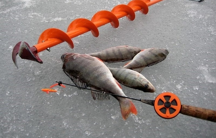 В Новомосковске проведут соревнования по спортивной ловле на мормышку со льда
