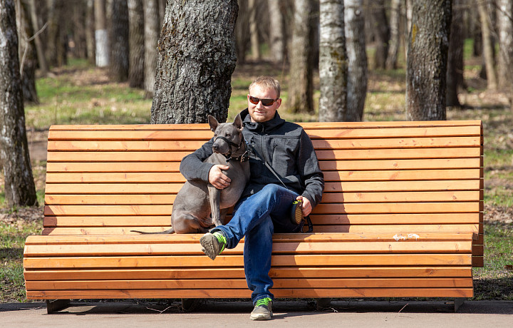 Синоптик спрогнозировал сухую и теплую пасхальную неделю в Тульской области