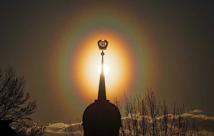 Фотограф запечатлел в Туле уникальное явление — пыльцевую корону вокруг солнца