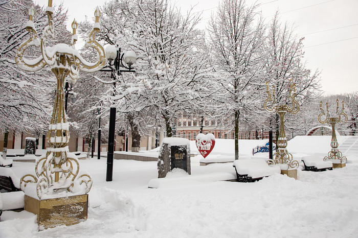 Тулу засыпало снегом: как в городе борются с последствиями стихии