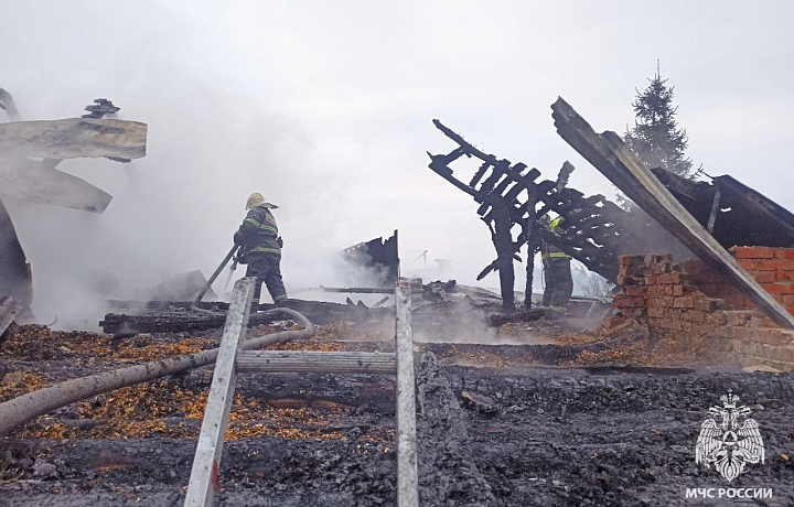 На пожаре в тульской деревне Старое Басово погиб 78-летний мужчина