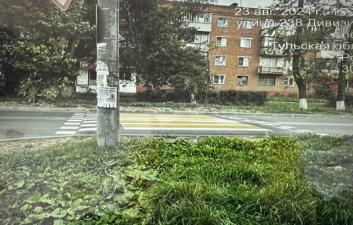 В Алексине установили пешеходный переход, к которому невозможно подойти