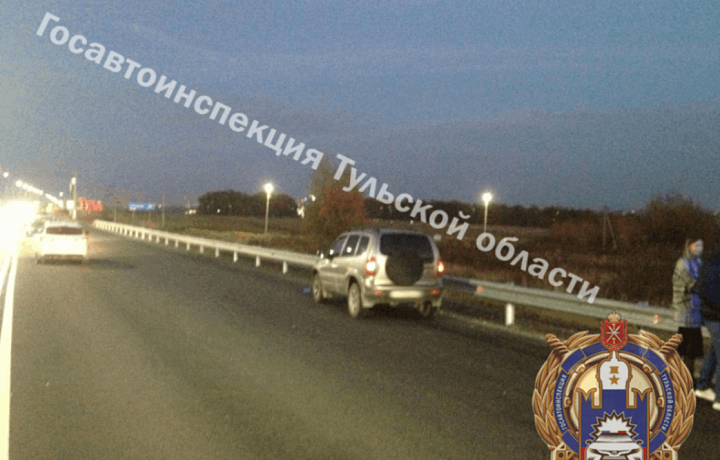 Автоледи на Lada сбила девушку-пешехода в тульской деревне Прудное