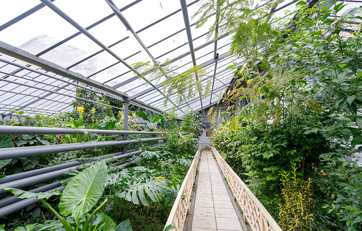 В тульской школе привели в порядок уникальную оранжерею с более чем 200 видами растений