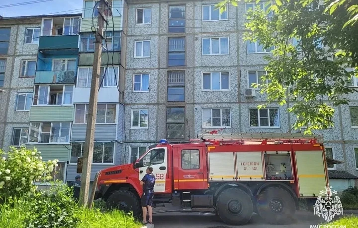 В Тульской области спасатели эвакуировали семь жильцов пятиэтажки из-за пожара