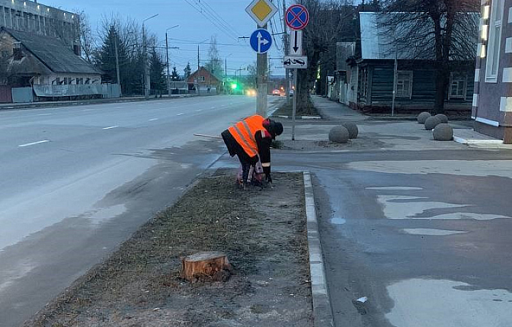 В Туле 30 марта проведут уборку дорог, покрасят бордюры и вывезут смет