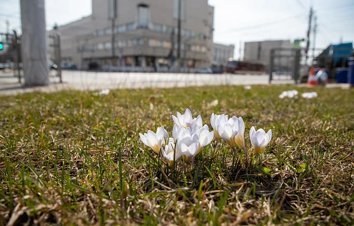 Что обязательно нужно сделать в первые теплые выходные в Туле