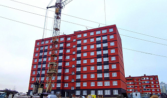 Более 500 детей-сирот из Тульской области в 2025 году обеспечены жильем