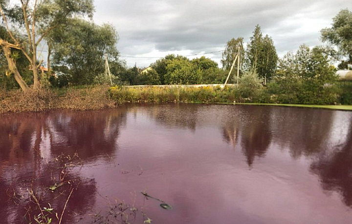 С начала года в Тульской области выявили более двух тысяч нарушений в области экологии