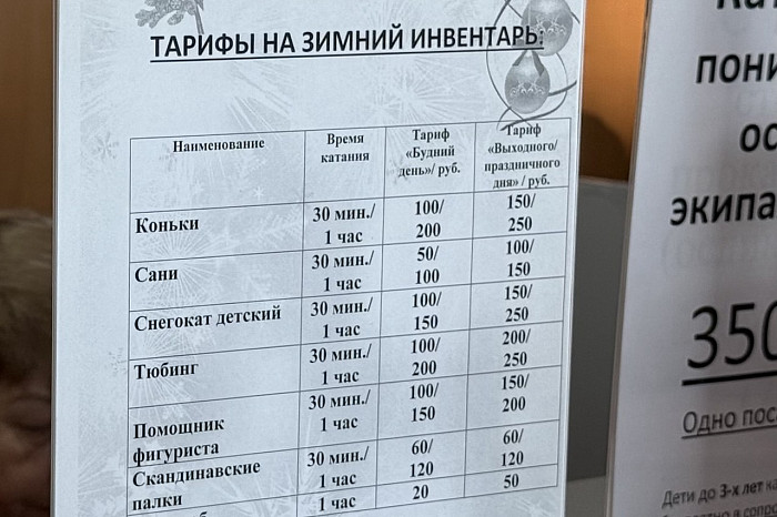От коньков до горных склонов: где и какими зимними видами спорта можно заняться в Туле