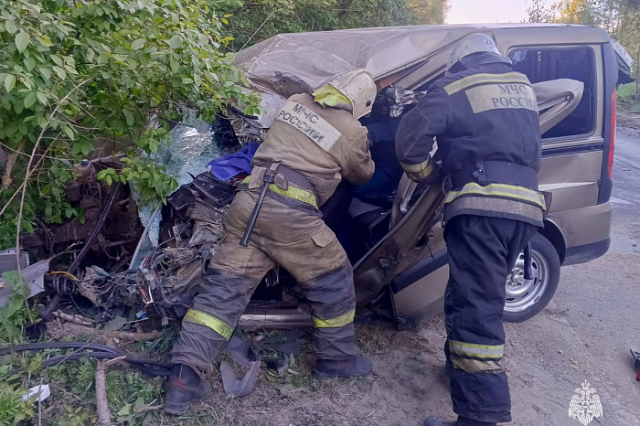 За сутки в Тульской области спасатели потушили пять пожаров и четыре раза выезжали на ДТП