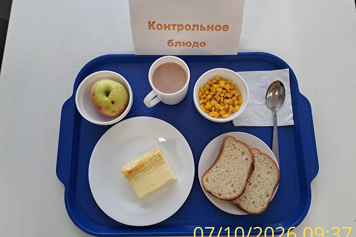 Сырники, уха, биточки и рагу: чем кормят в тульских школах и сколько это стоит