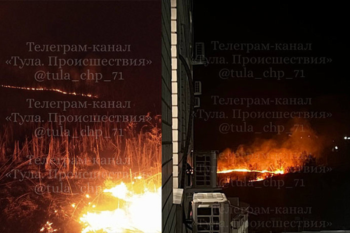 Жители Тульской области сообщают о природных пожарах вечером 31 марта