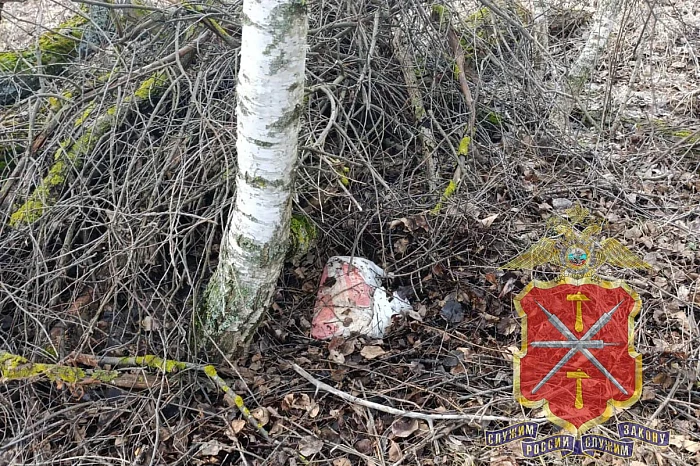 Больше всего наркопреступлений в области фиксируют в Туле, Щекине и Новомосковске: свыше 80% изъятого - синтетика