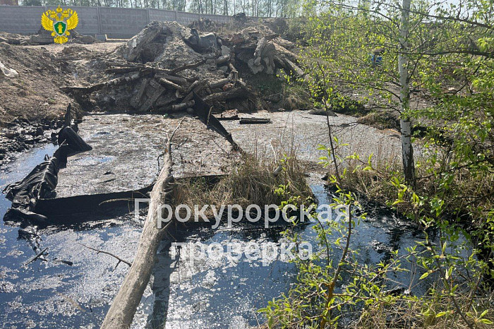 В Болохово собаки провалились в яму с битумом: прокуратура проводит проверку