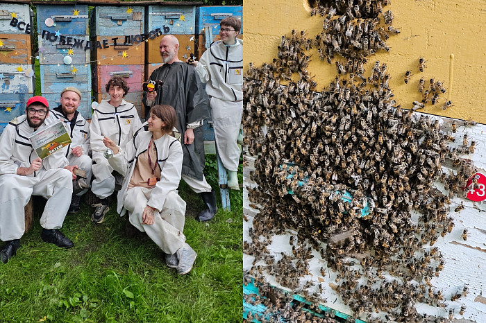 «Прокачать» пчел: как лето-2026 повлияло на урожай меда в Тульской области