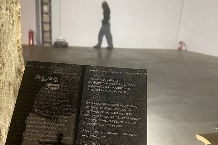 Существует ли «современное» искусство на самом деле: как тульские перформеры общались через звук, пространство и танец в прямом эфире