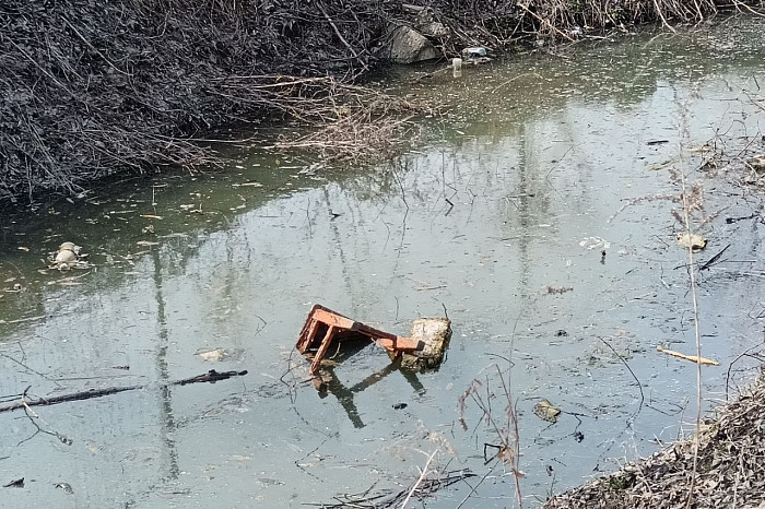 Жители Тулы обратили внимание на ужасное состояние пруда в Мясново, где жили редкие черепахи