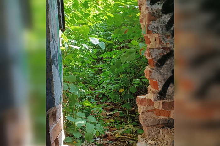 Руины на продажу: «кирпичной свалке» и пристанищу бомжей на улице Бундурина хотят дать вторую жизнь