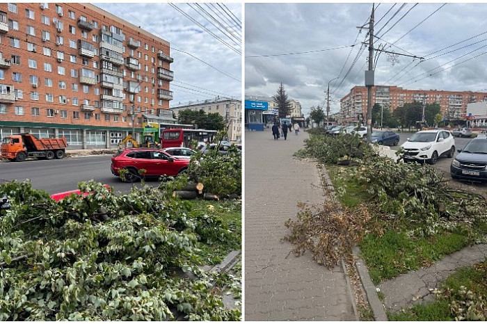 Туляки о ремонте Красноармейского проспекта: Требуем новые деревья взамен срубленных