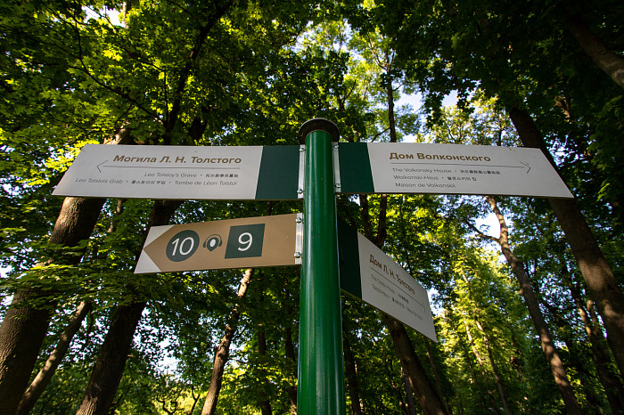 «Молодые люди не считают Толстого бородатым классиком, которому место на антресоли или в кладовке»: как образ Льва Николаевича в городском пространстве трансформирует отношение к нему