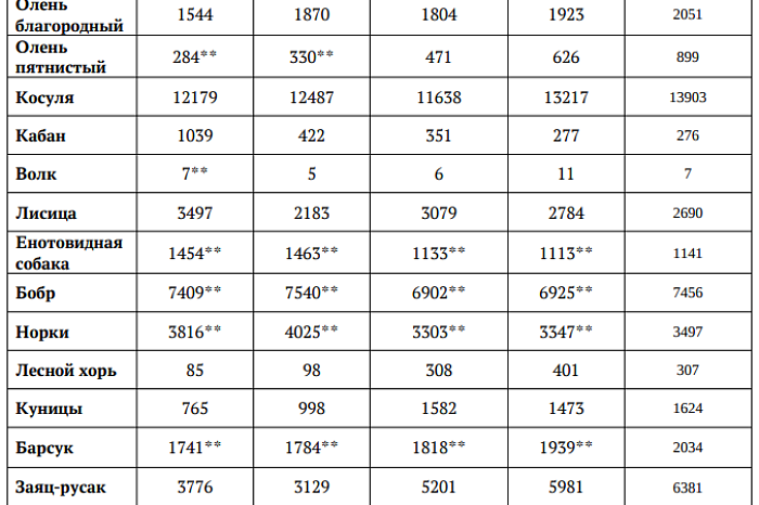 Больше лосей и оленей, меньше кабанов и лишь семь волков: в Минприроды рассказали, сколько диких животных живут в тульских лесах