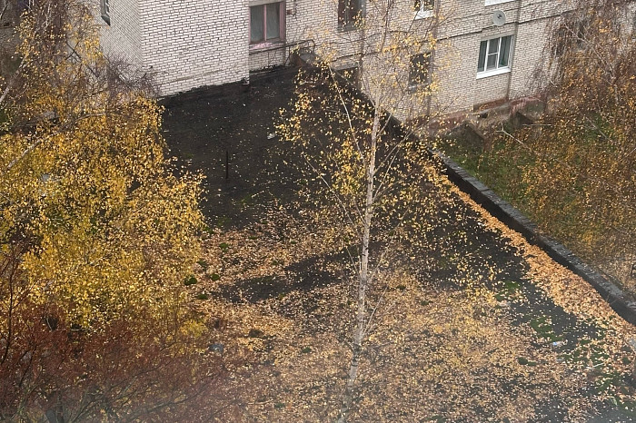 В Ефремове в многоквартирном доме сгнил подъезд: оказалось, что УК не должна делать ремонт, а в ГЖИ проявили чудеса терпеливости В Ефремове в многоквартирном доме сгнил подъезд: оказалось, что УК не должна делать ремонт, а в ГЖИ проявили чудеса терпеливости