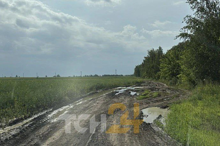 Медикам пришлось идти пешком к пациенту в деревне под Веневом: машина застряла, дороги к населенному пункту просто нет Медикам пришлось идти пешком к пациенту в деревне под Веневом: машина застряла, дороги к населенному пункту просто нет