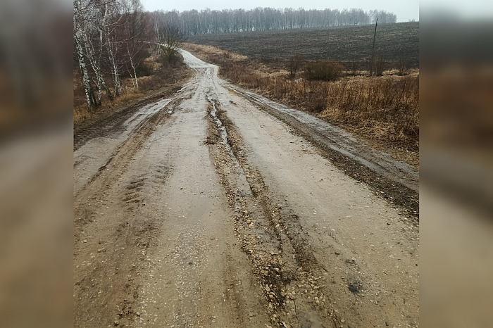 Дорога в Косое превратилось в размытое и разбитое: щекинские власти обещают сделать хоть что-нибудь только к концу года Дорога в Косое превратилось в размытое и разбитое: щекинские власти обещают сделать хоть что-нибудь только к концу года