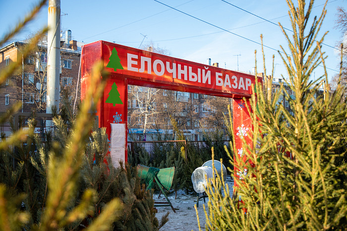 Праздника хочу! Куда отправиться за новогодним настроением в Туле и области