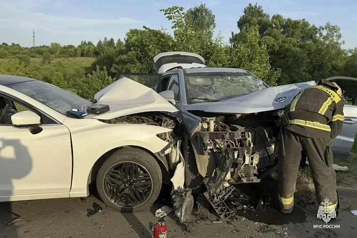 Огнеборцы потушили пять пожаров в Тульской области за сутки