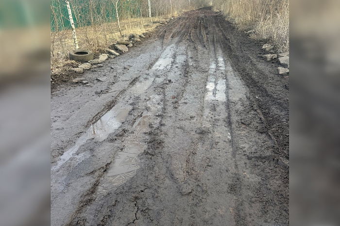 Дорога у посёлка Побединский Киреевского района состоит больше из грязи, чем из дороги – денег на ремонт нет Дорога у посёлка Побединский Киреевского района состоит больше из грязи, чем из дороги – денег на ремонт нет