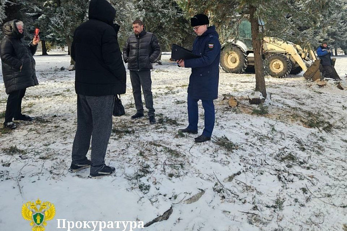 В Тульской области на братской могиле вырубили туи, которые не нужно было рубить: пришлось сажать новые и еще платить за вырубку подрядчику