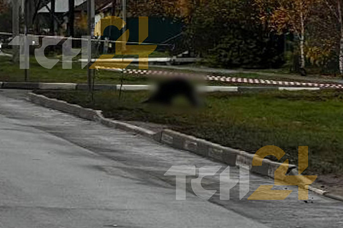 Появились фото с места падения обломка БПЛА на Кутузова в Туле