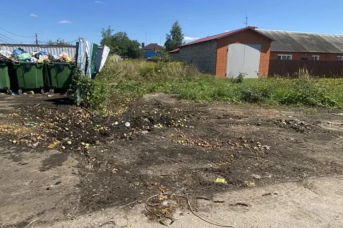 Почему мусорки в Новомосковске переполнены: объяснили в администрации