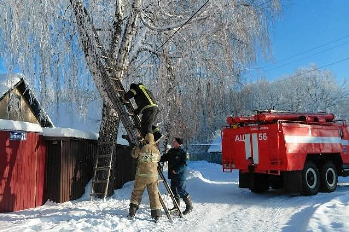 Тульские сотрудники МЧС спасли попавшего в беду кота