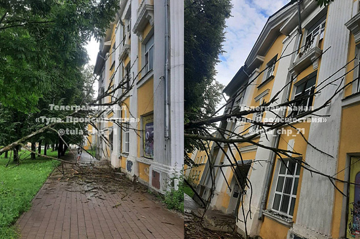Большое дерево при падении выбило окно в общежитии на проспекте Ленина в Туле