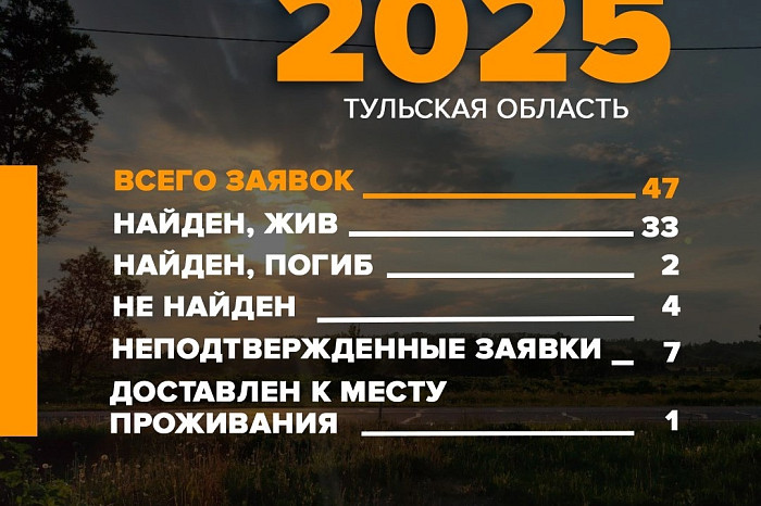 Стало известно, сколько человек пропали в Тульской области в апреле Стало известно, сколько человек пропали в Тульской области в апреле